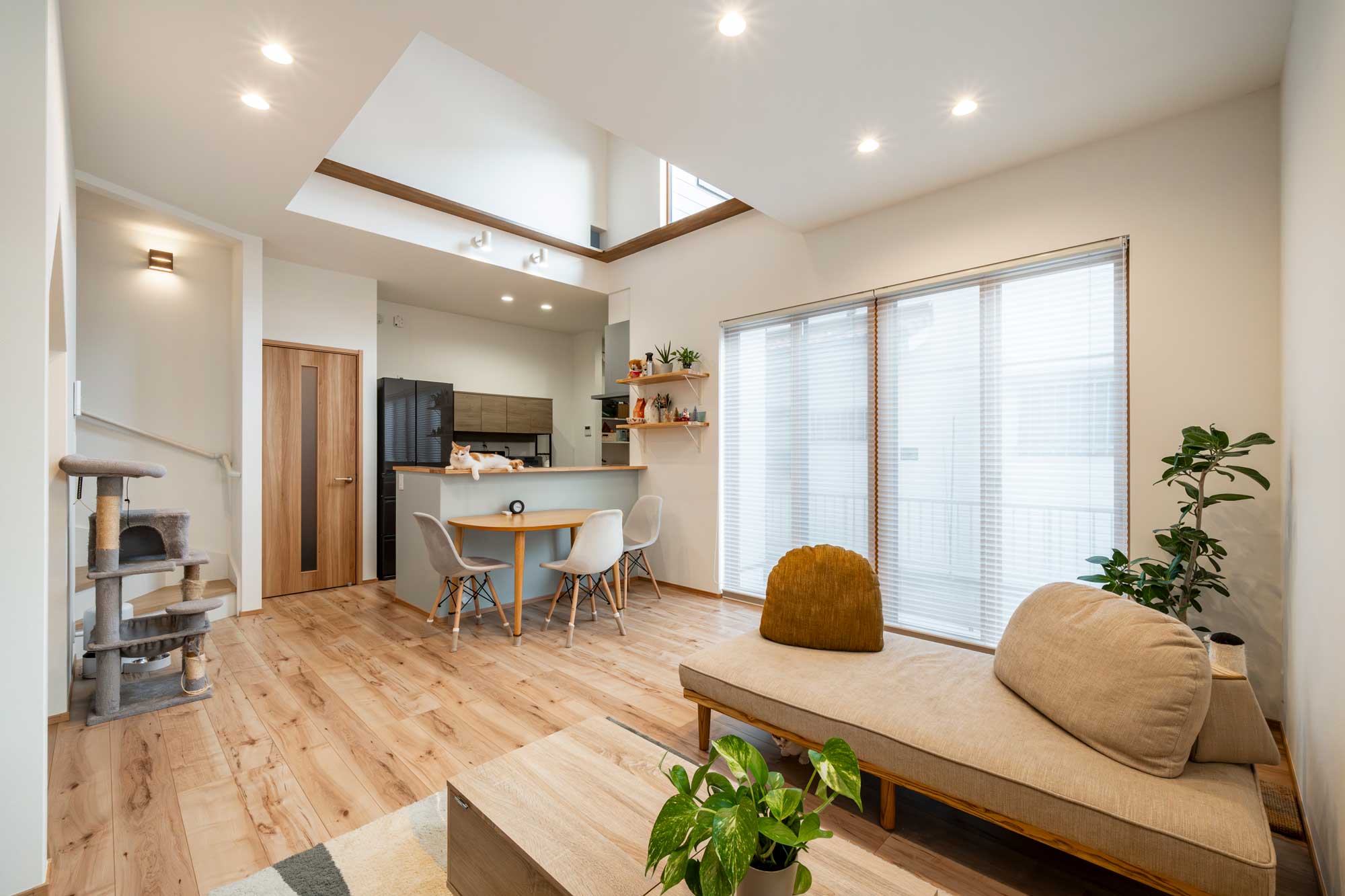 愛猫と暮らす幸せ。キャットウォークと秘密基地のある、遊び心満載の家