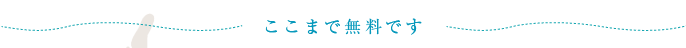 ここまで無料です